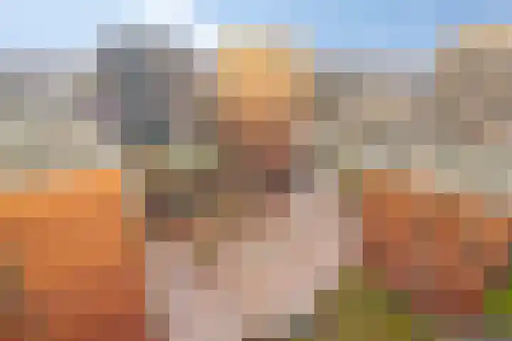 IJdoornlaan 261 P 4 Amsterdam thumbnail 38