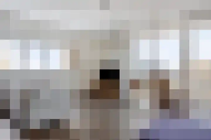 IJdoornlaan 261 P 4 Amsterdam thumbnail 5