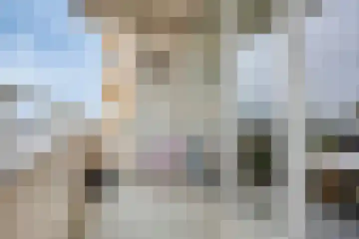 IJdoornlaan 261 P 4 Amsterdam thumbnail 9