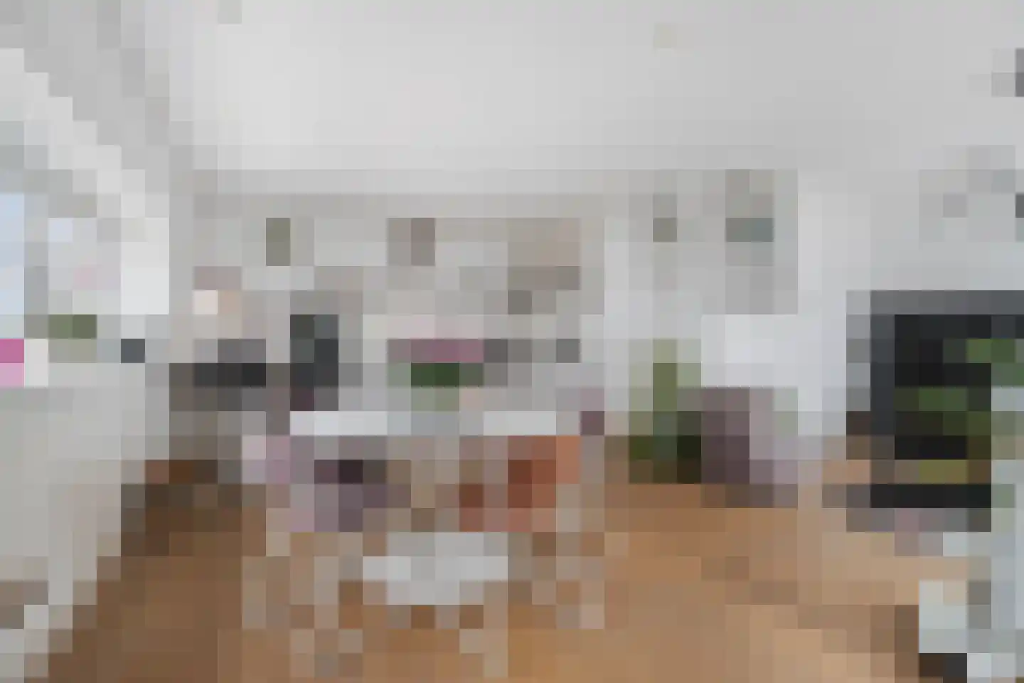 IJdoornlaan 261 R 1 Amsterdam thumbnail 10