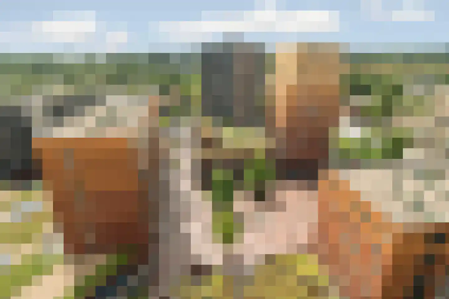 IJdoornlaan 261 R 1 Amsterdam thumbnail 18