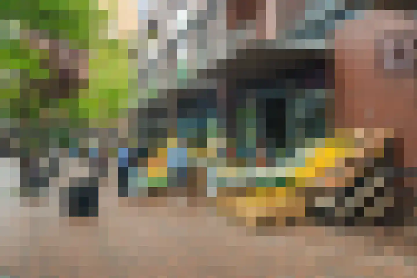 IJdoornlaan 261 R 1 Amsterdam thumbnail 36