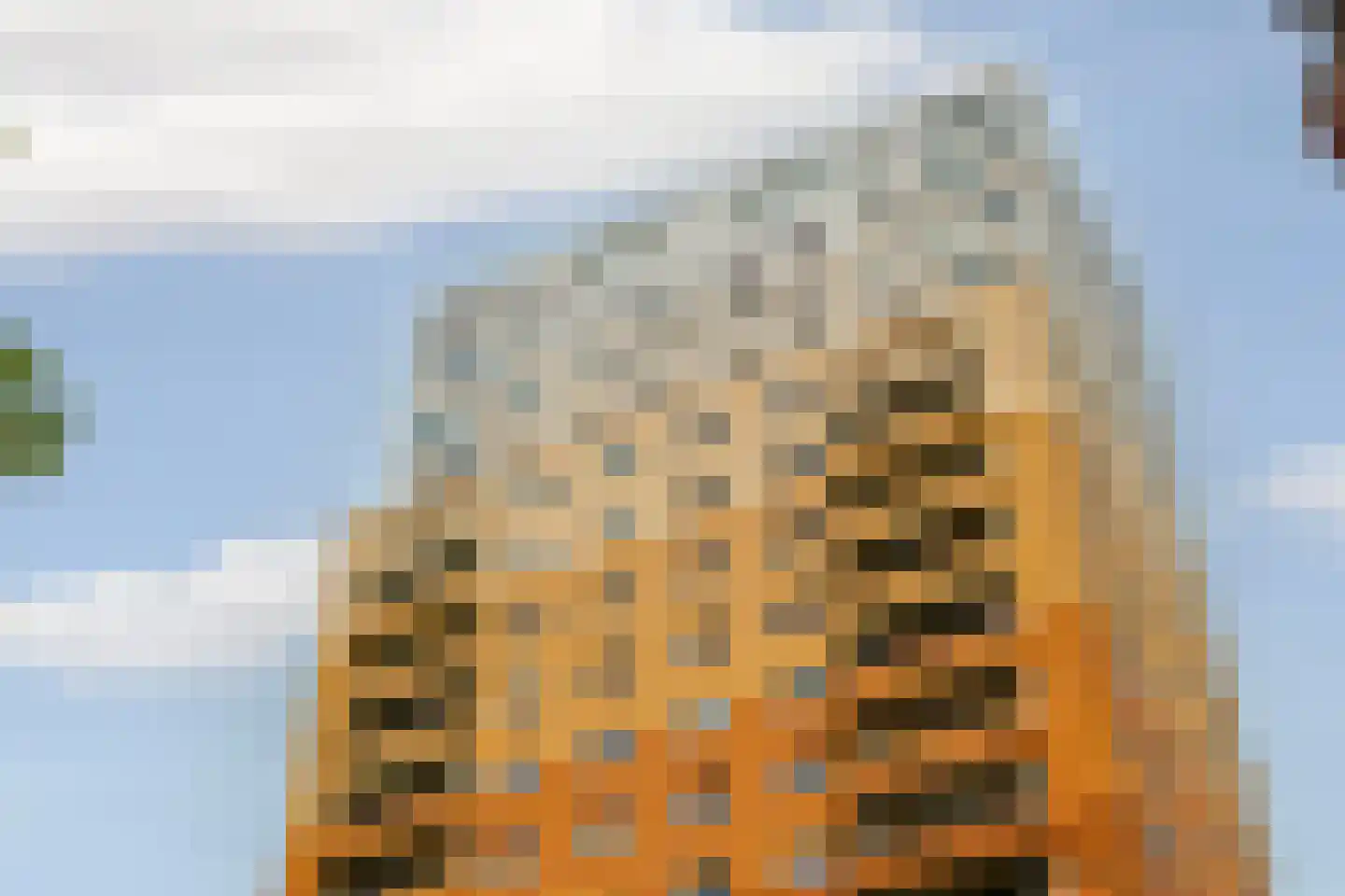 IJdoornlaan 261 R 1 Amsterdam thumbnail 40