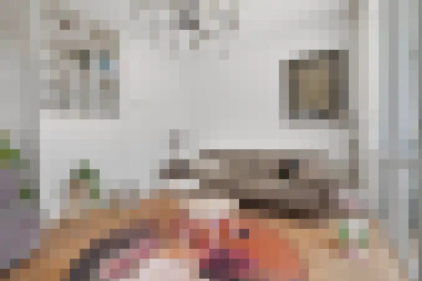 IJdoornlaan 261 R 1 Amsterdam thumbnail 5