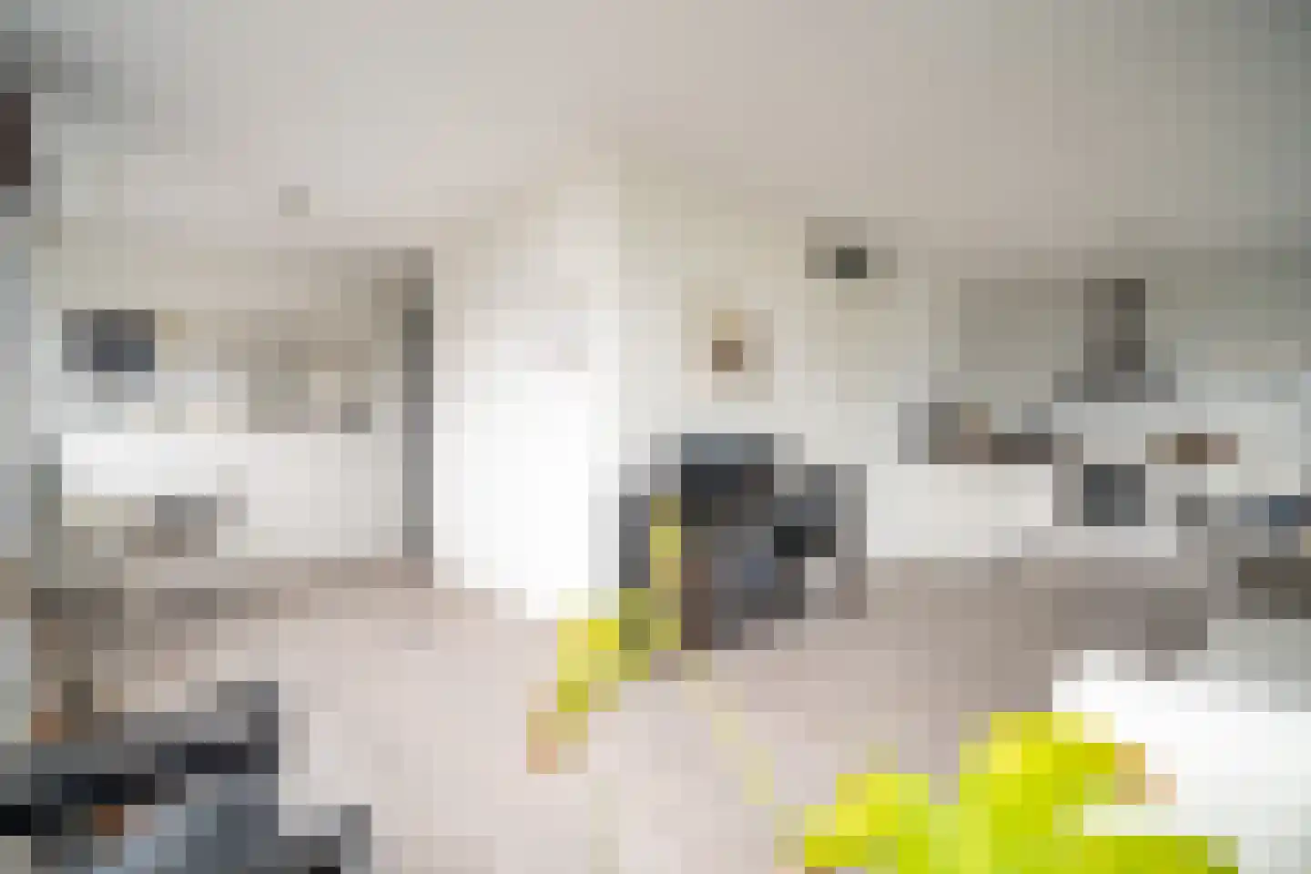 IJdoornlaan 261 V 4 Amsterdam thumbnail 8