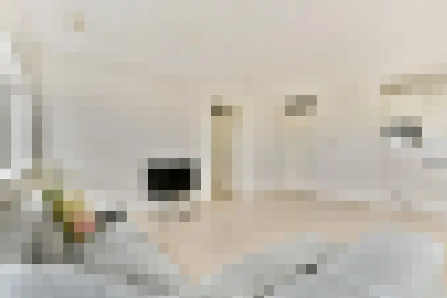 IJdoornlaan 261 W 2 Amsterdam thumbnail 11