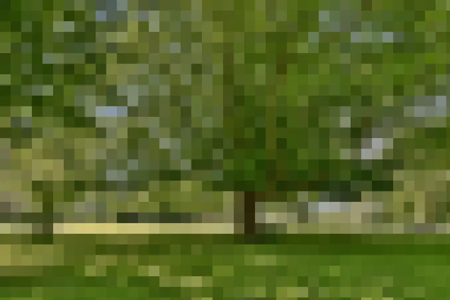 IJdoornlaan 261 W 2 Amsterdam thumbnail 22