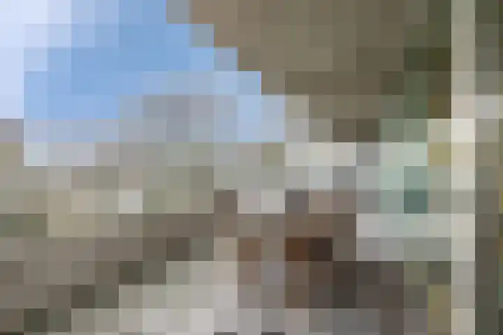 IJdoornlaan 827 Amsterdam thumbnail 32
