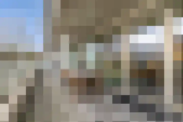 IJdoornlaan 827 Amsterdam thumbnail 33