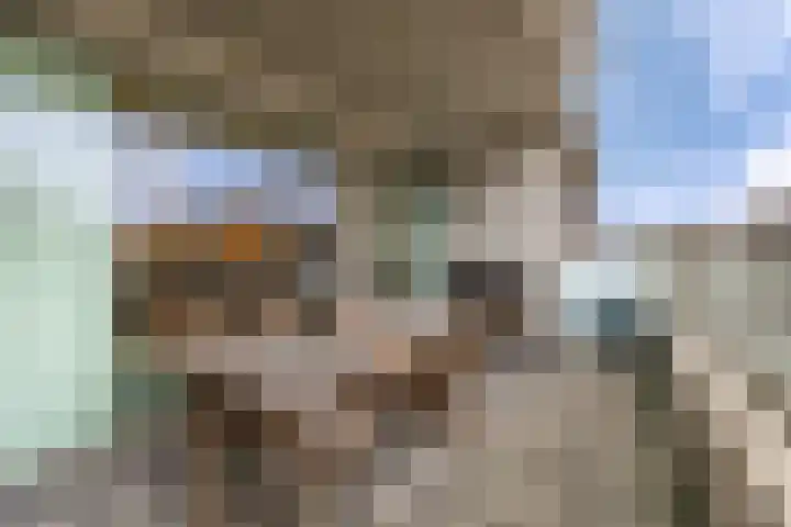 IJdoornlaan 827 Amsterdam thumbnail 34