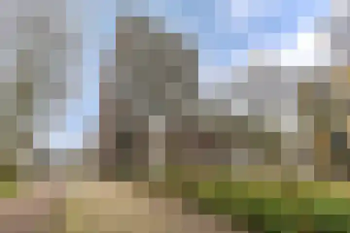 IJdoornlaan 827 Amsterdam thumbnail 42