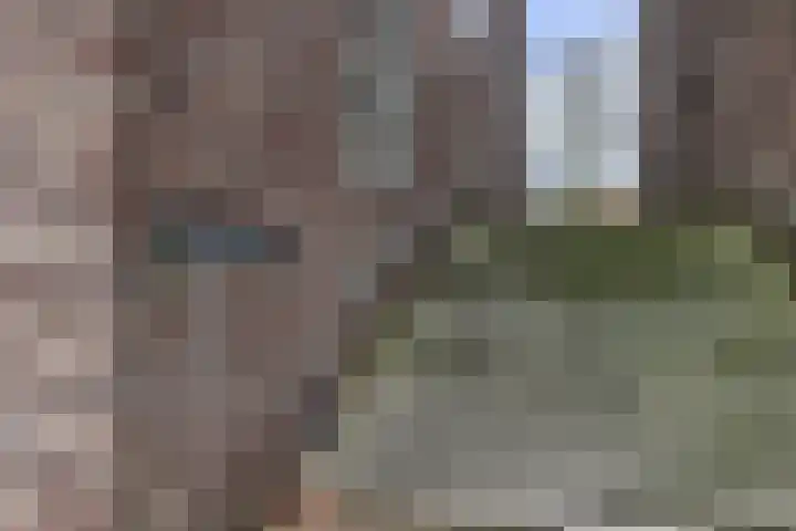 IJdoornlaan 827 Amsterdam thumbnail 7