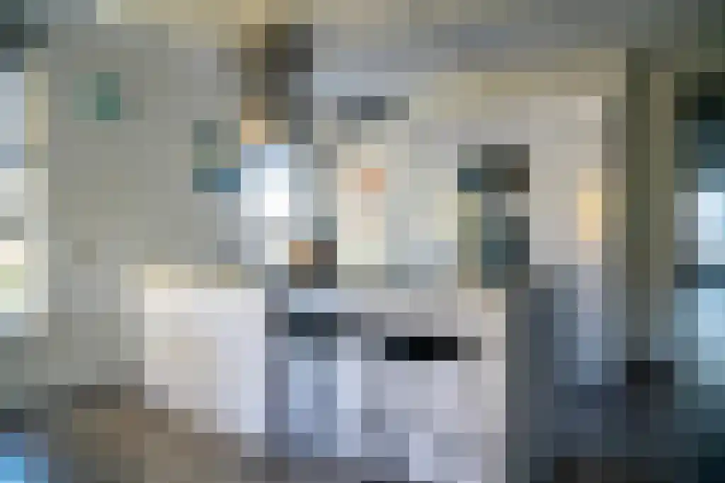 IJdoornlaan 829 Amsterdam thumbnail 5