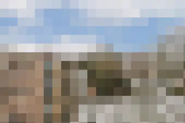 IJdoornlaan 831 Amsterdam thumbnail 12