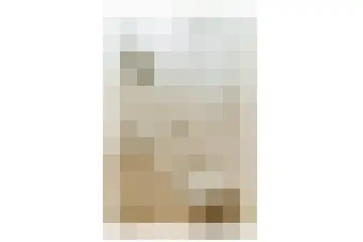 IJdoornlaan 831 Amsterdam thumbnail 19