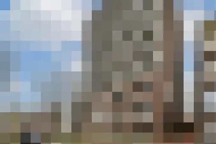 IJdoornlaan 831 Amsterdam thumbnail 22