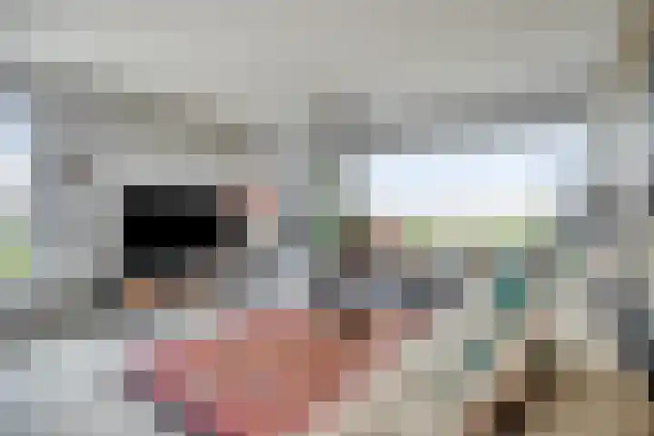 IJdoornlaan 861 Amsterdam thumbnail 11