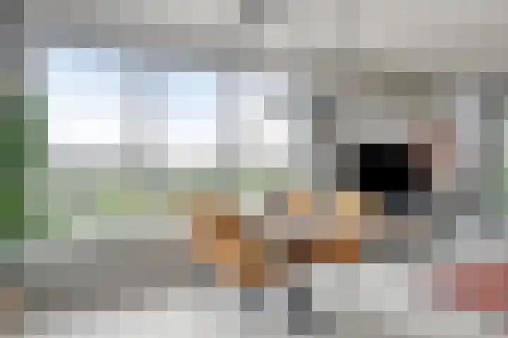 IJdoornlaan 861 Amsterdam thumbnail 14