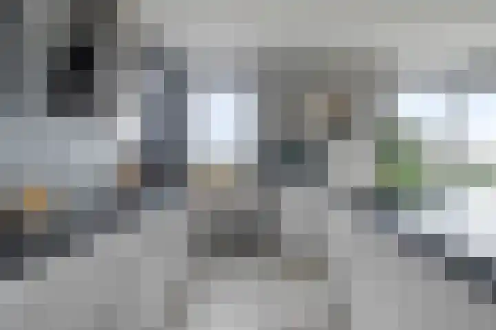 IJdoornlaan 861 Amsterdam thumbnail 19