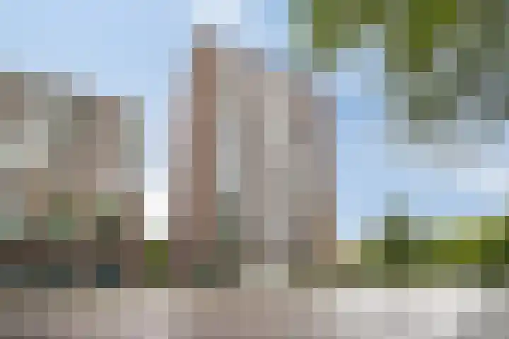 IJdoornlaan 861 Amsterdam thumbnail 36