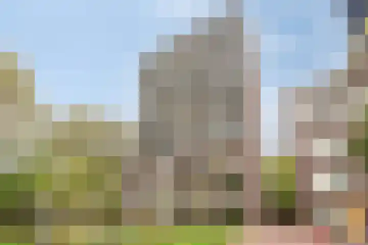 IJdoornlaan 861 Amsterdam thumbnail 6