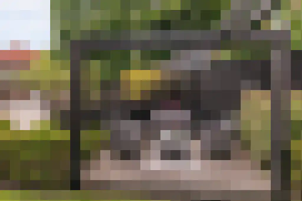 IJlsterkade 10 Sneek thumbnail 12