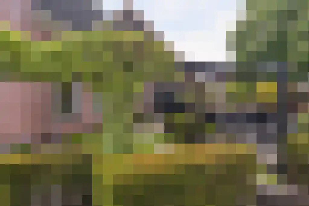 IJlsterkade 10 Sneek thumbnail 17