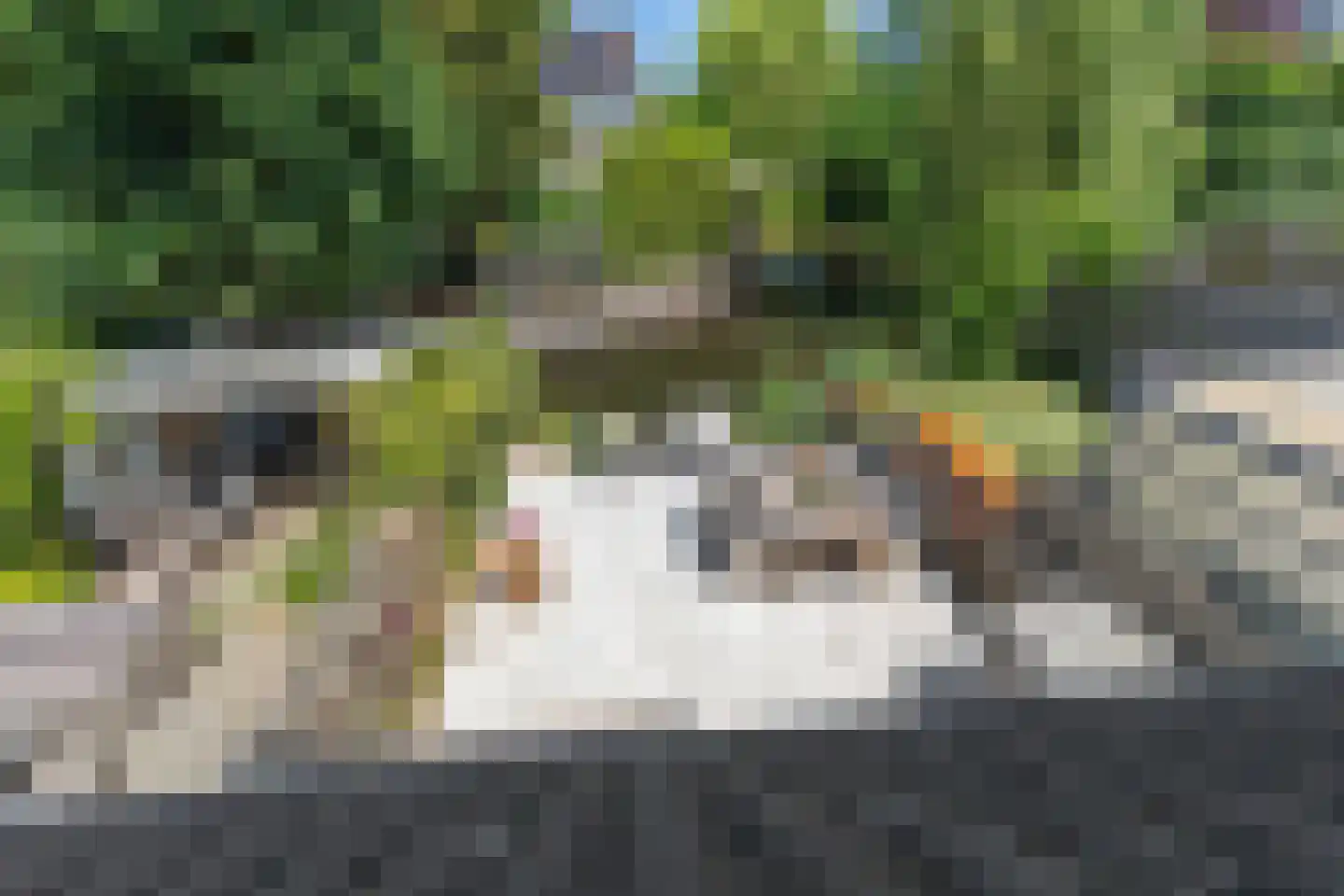 IJlsterveste 16 Nieuwegein thumbnail 5