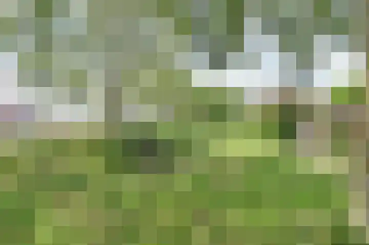 IJlsterveste 3 Nieuwegein thumbnail 36