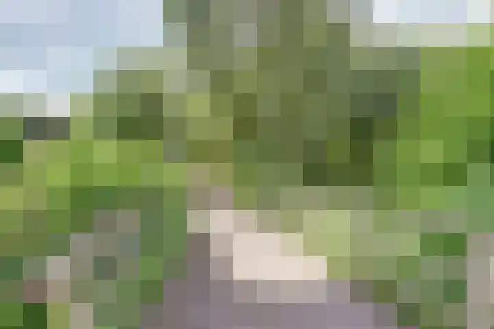 IJlsterveste 3 Nieuwegein thumbnail 39