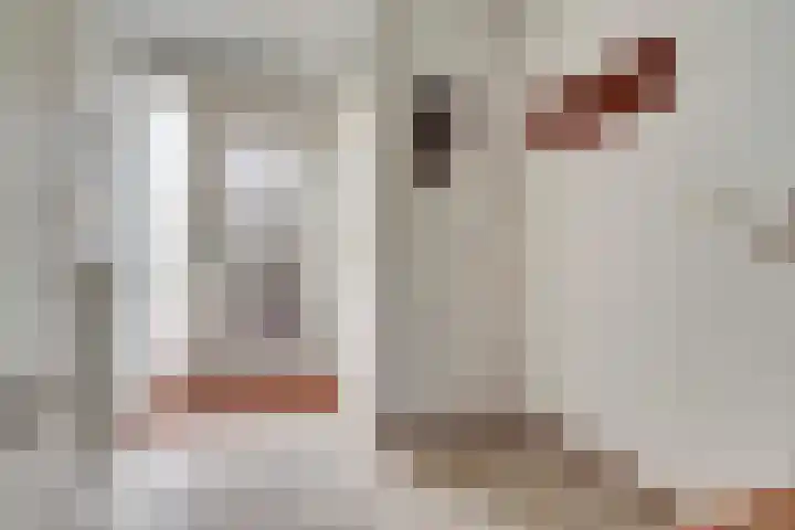 IJlsterveste 3 Nieuwegein thumbnail 9