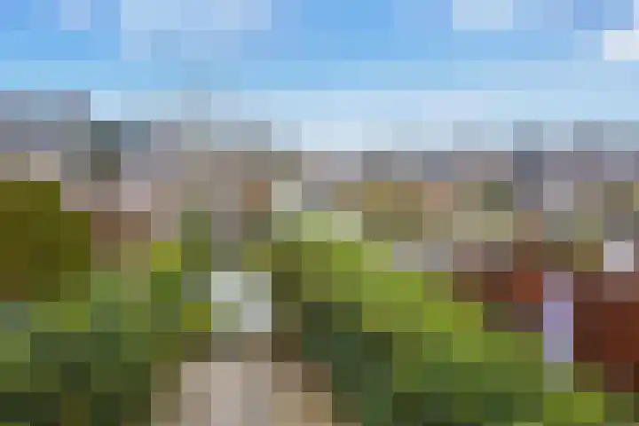 IJlsterveste 58 Nieuwegein thumbnail 30
