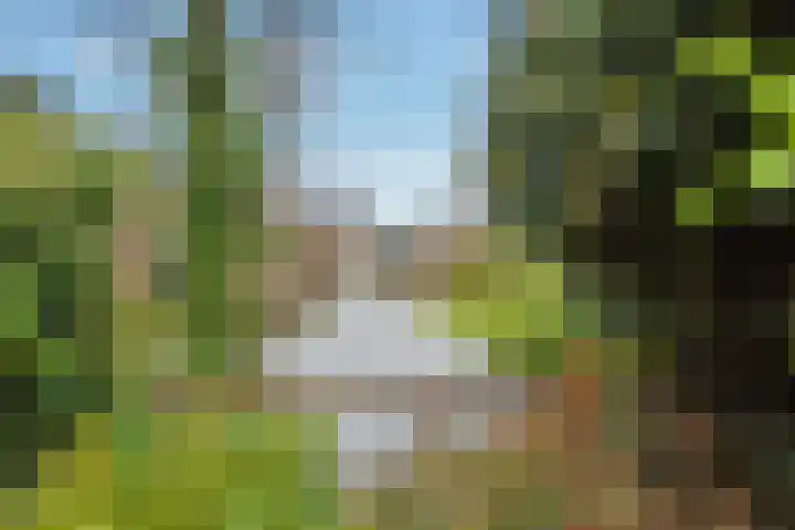 IJlsterveste 58 Nieuwegein thumbnail 33