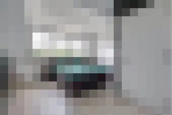 IJmeerstraat 113 Berkel en Rodenrijs thumbnail 17