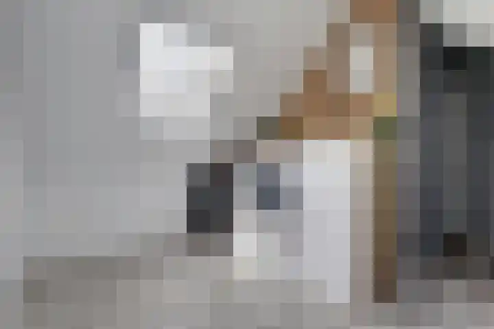IJmeerstraat 113 Berkel en Rodenrijs thumbnail 32