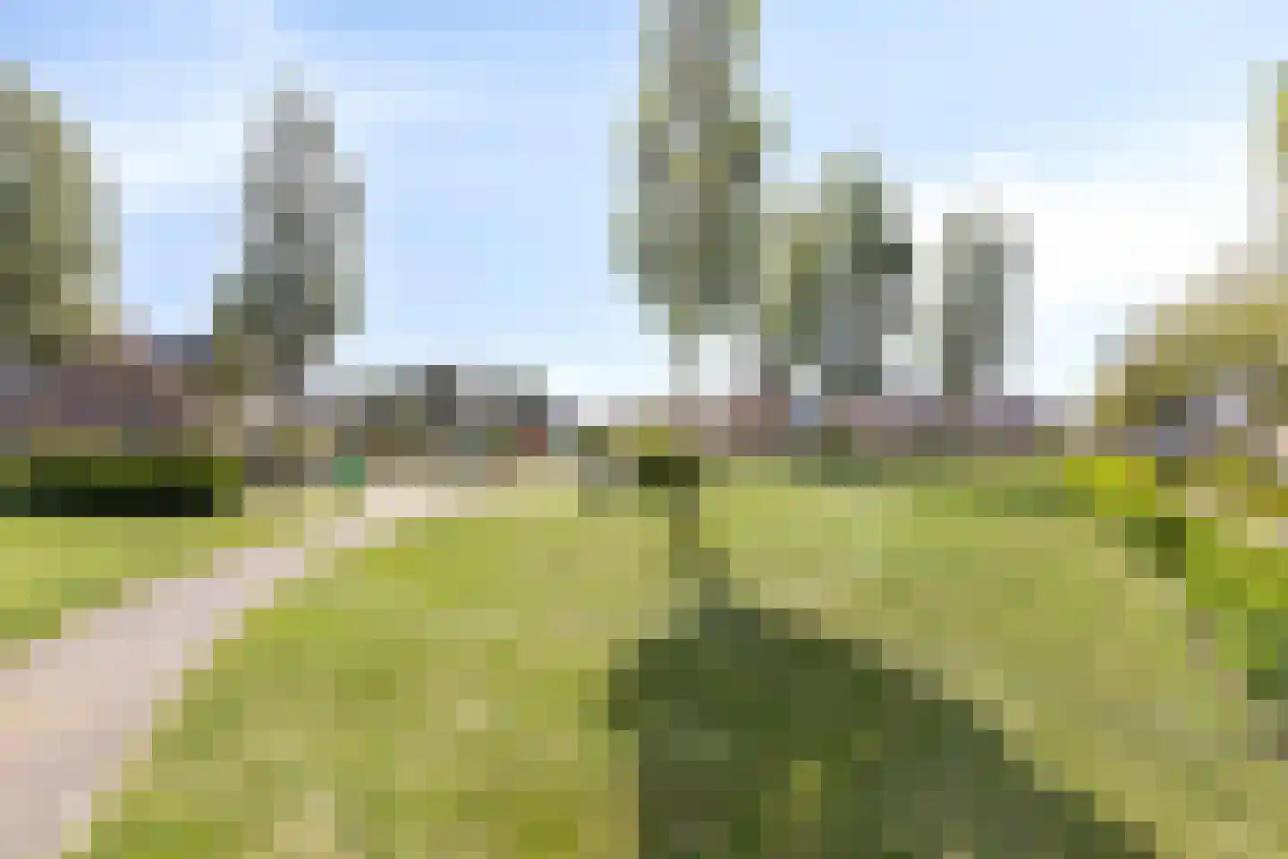 IJmeerstraat 29 Berkel en Rodenrijs thumbnail 18