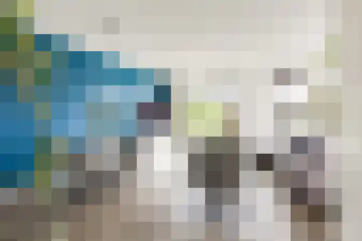 IJmeerstraat 83 Berkel en Rodenrijs thumbnail 10