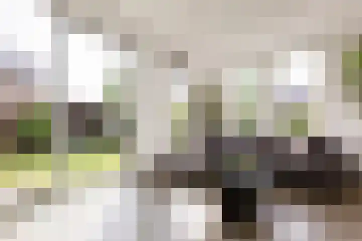 IJmeerstraat 83 Berkel en Rodenrijs thumbnail 11