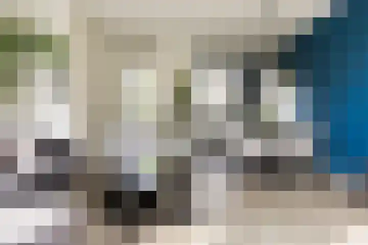 IJmeerstraat 83 Berkel en Rodenrijs thumbnail 13