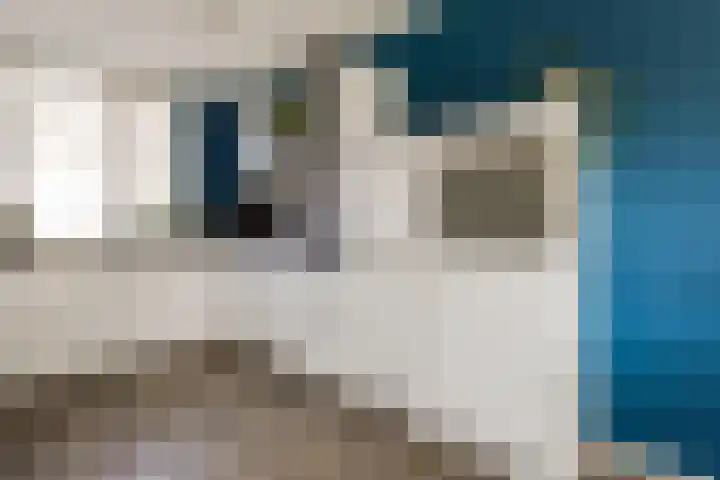 IJmeerstraat 83 Berkel en Rodenrijs thumbnail 16