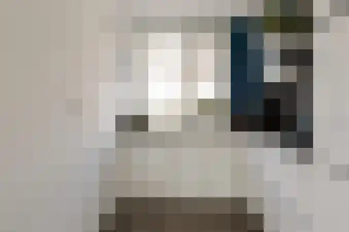 IJmeerstraat 83 Berkel en Rodenrijs thumbnail 17