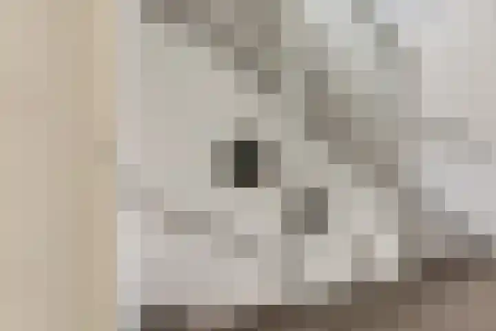 IJmeerstraat 83 Berkel en Rodenrijs thumbnail 18