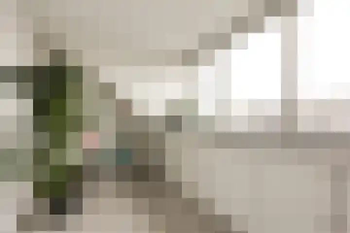 IJmeerstraat 83 Berkel en Rodenrijs thumbnail 30