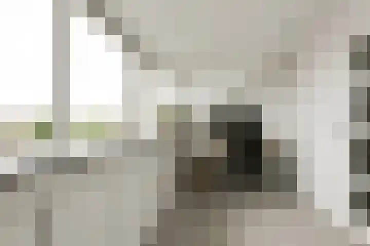 IJmeerstraat 83 Berkel en Rodenrijs thumbnail 31