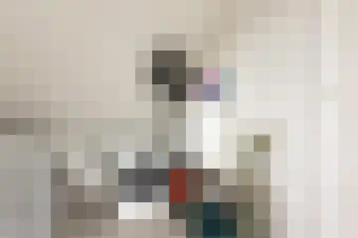 IJmeerstraat 83 Berkel en Rodenrijs thumbnail 35