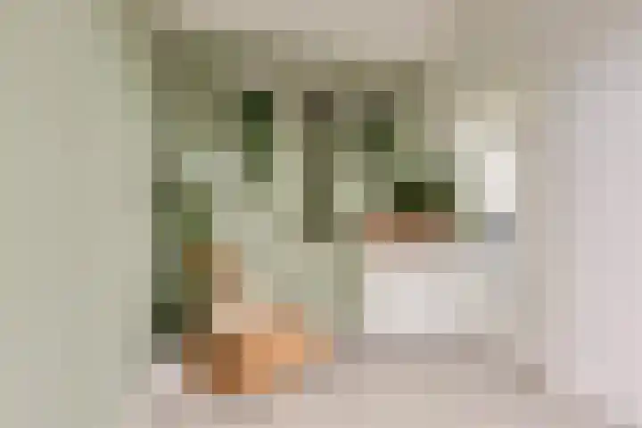 IJmeerstraat 83 Berkel en Rodenrijs thumbnail 4
