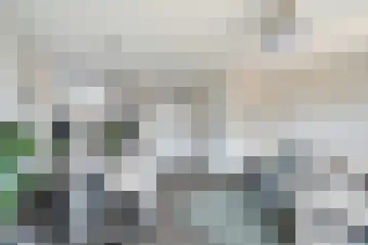 IJmeerstraat 87 Berkel en Rodenrijs thumbnail 12