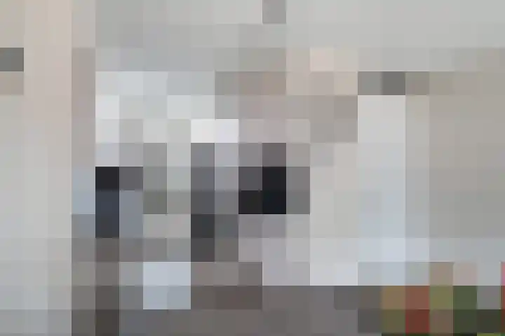 IJmeerstraat 87 Berkel en Rodenrijs thumbnail 14