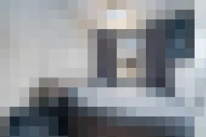 IJmeerstraat 87 Berkel en Rodenrijs thumbnail 19