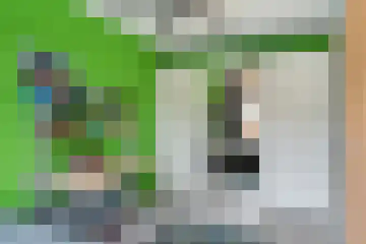 IJmeerstraat 87 Berkel en Rodenrijs thumbnail 22